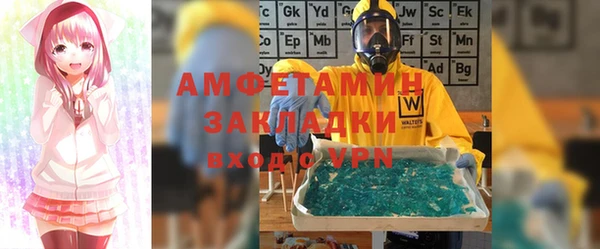 амф Верхний Тагил
