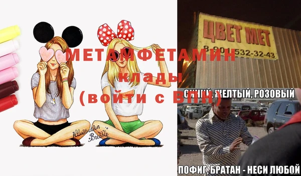 ГАЛЛЮЦИНОГЕННЫЕ ГРИБЫ Верея