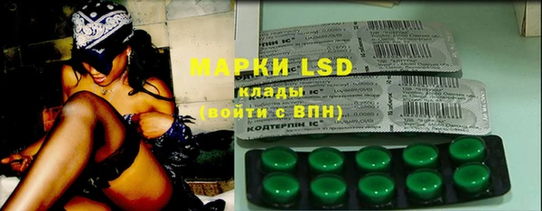ГАЛЛЮЦИНОГЕННЫЕ ГРИБЫ Верея