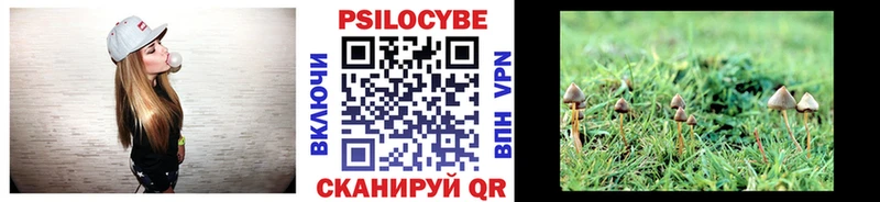 Псилоцибиновые грибы Psilocybe  это Telegram  Дорогобуж  дарнет шоп 